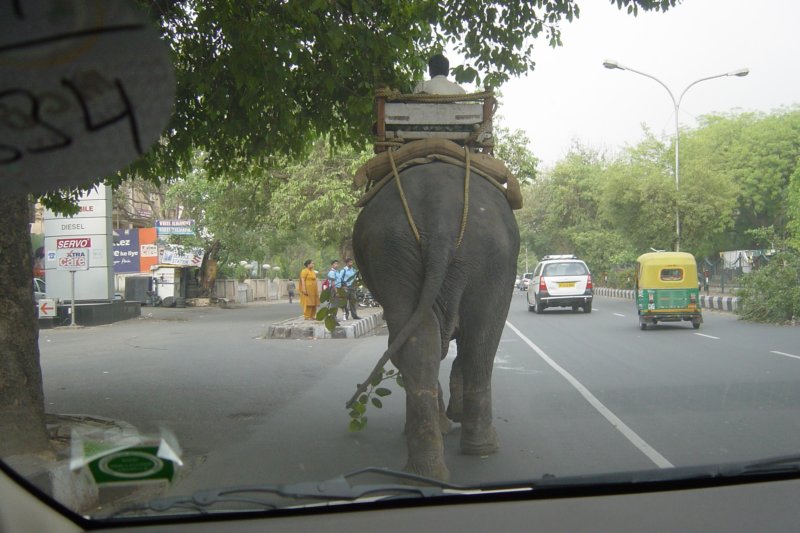 BTA&C trip to India May 08 43 btactriptoindiamay0843.jpg