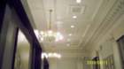 new_orleans_08112016034_small.jpg
