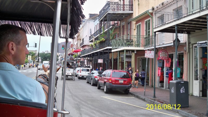 New_Orleans_08-12-2016-117 new_orleans_08122016117.jpg