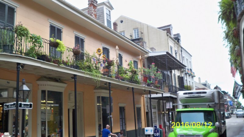 New_Orleans_08-12-2016-133 new_orleans_08122016133.jpg