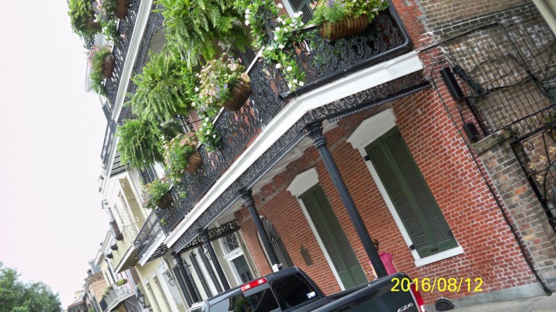 New_Orleans_08-12-2016-167 new_orleans_08122016167.jpg