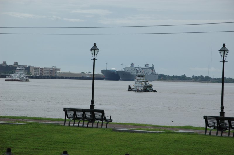 New_Orleans_08-13-2016-240 new_orleans_08132016240.jpg