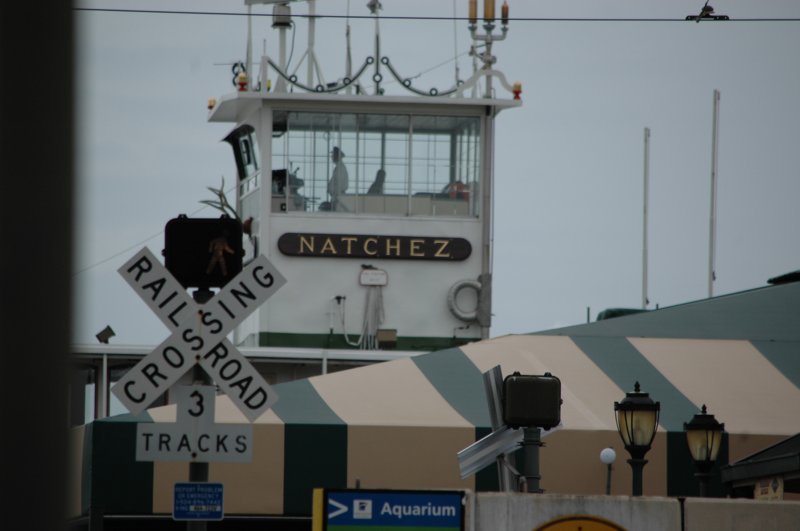 New_Orleans_08-13-2016-249 new_orleans_08132016249.jpg