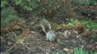 febsarahstriptonj000052_small.jpg