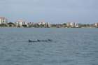 debsvisittofl079_small.jpg