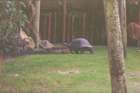 debsvisittofl092_small.jpg