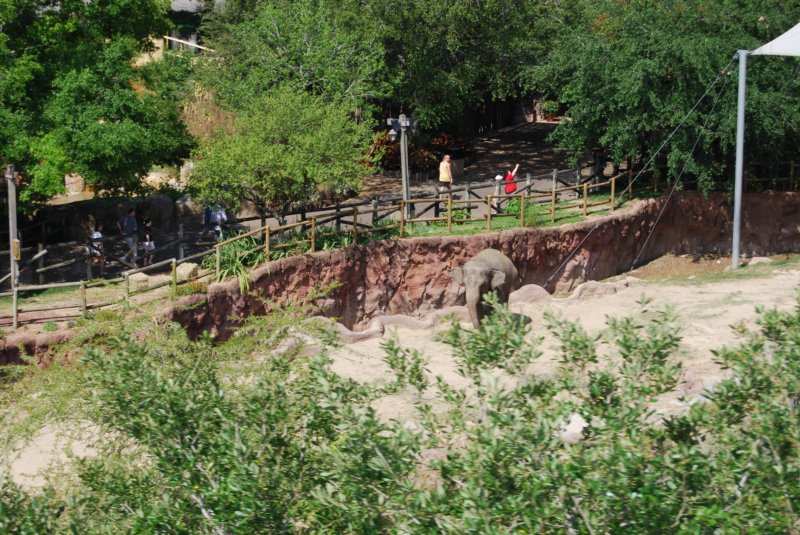 213 Busch Gardens 011 buschgardens011.jpg