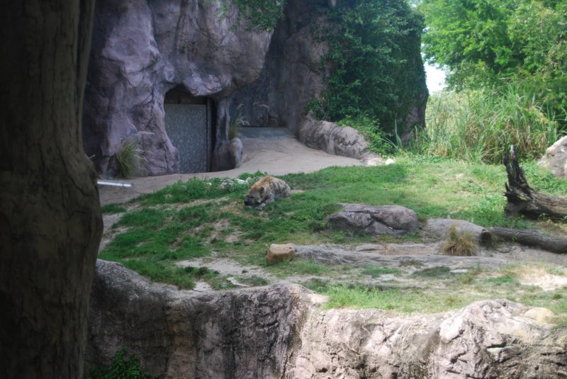 312 Busch Gardens 110 buschgardens110.jpg