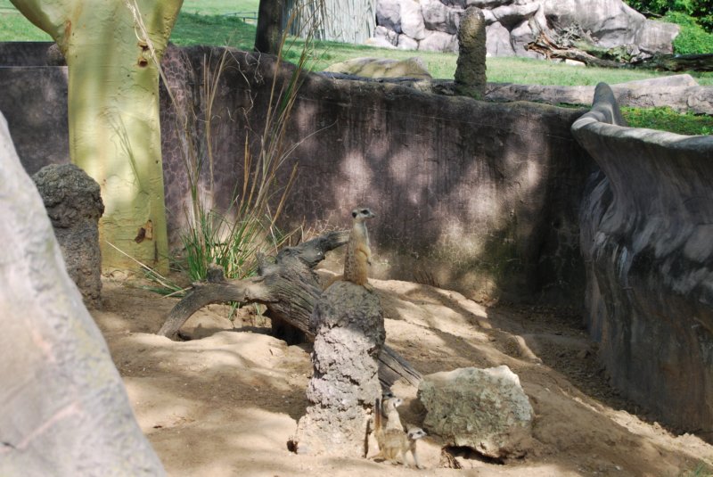315 Busch Gardens 113 buschgardens113.jpg