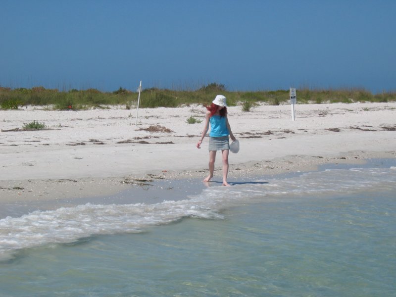 456 Shell Island 001 shellisland001.jpg