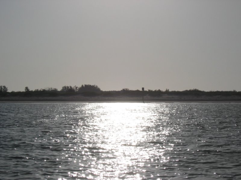 465 Shell Island 010 shellisland010.jpg