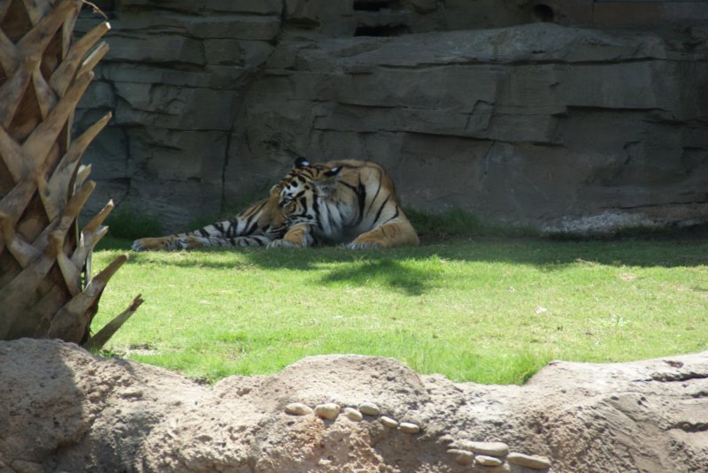 090 Busch Gardens Day 6-52 buschgardensday652.jpg