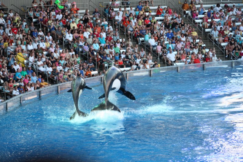 381 Sea World Day 13-043 seaworldday13043.jpg