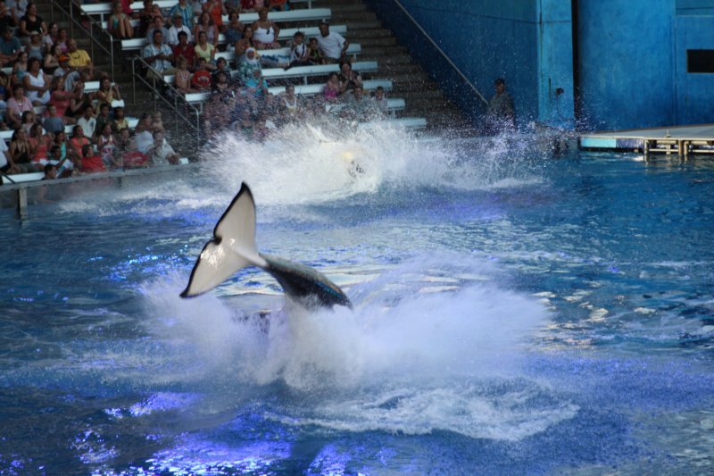 385 Sea World Day 13-047 seaworldday13047.jpg