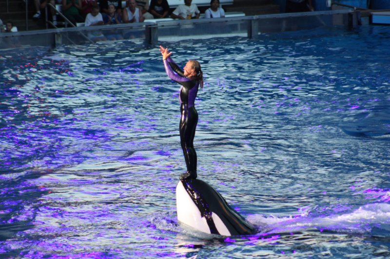 419 Sea World Day 13-081 seaworldday13081.jpg