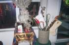 christmas_jeanettes_2008_21_small.jpg