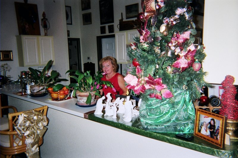 christmas_jeanettes_2008_34 christmas_jeanettes_2008_34.jpg
