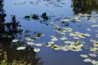 dsc00151_small.jpg