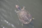dsc00167_small.jpg