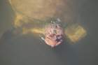 dsc00168_small.jpg