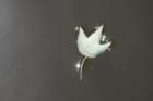 dsc00174_small.jpg