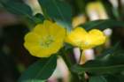 dsc00185_small.jpg