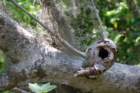 dsc00190_small.jpg