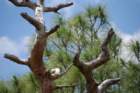 dsc00274_small.jpg