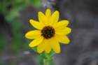 dsc00322_small.jpg