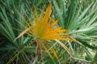 dsc00324_small.jpg