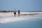 dsc00353_small.jpg