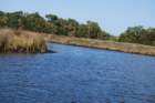 dsc00401_small.jpg