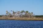 dsc00410_small.jpg