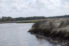 dsc00413_small.jpg