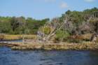 dsc00421_small.jpg