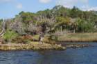 dsc00423_small.jpg