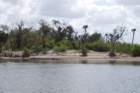 dsc00451_small.jpg