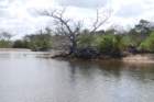 dsc00461_small.jpg