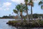 dsc00471_small.jpg