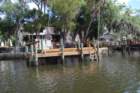 dsc00481_small.jpg