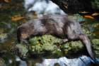 dsc00592_small.jpg