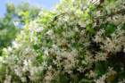 dsc00614_small.jpg
