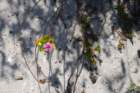 dsc00629_small.jpg
