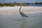 dsc00673_small.jpg