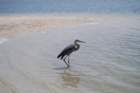 dsc00675_small.jpg