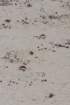 dsc00685_small.jpg