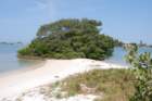 dsc00688_small.jpg