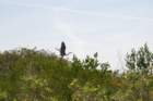 dsc00690_small.jpg