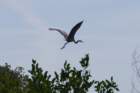 dsc00691_small.jpg