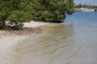 dsc00702_small.jpg